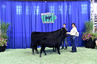 Bred Owned Cow Calf Backdrops