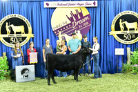 Bred Owned Heifers