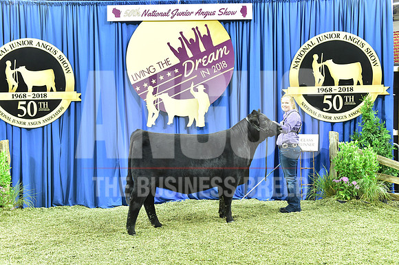 Bred Owned Class 19 1st Place exhibited by Cassidy Becker APP_3993