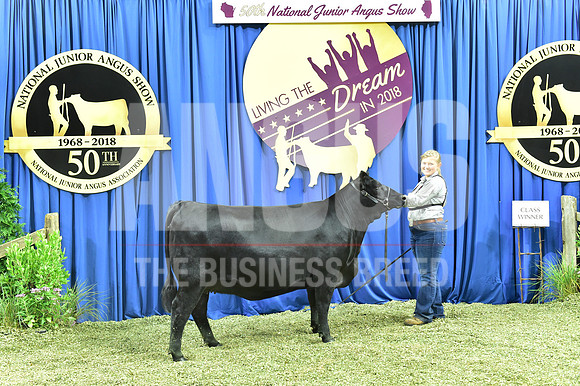 Bred Owned Class 27 1st Place exhibited by Carrie Otte APP_4391