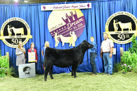 Bred Owned Res Champ Intermediate Heifer, Class 11 2nd Place, exhibited by Austin Nowatzke APP_3532
