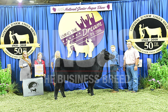 Bred Owned Res Champ Intermediate Heifer, Class 11 2nd Place, exhibited by Austin Nowatzke APP_3532
