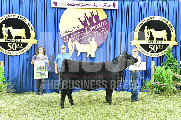 Bred Owned Class 24 1st Place exhibited by Bryanna Hite APP_4338