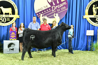 Bred Owned Champion Early Junior Heifer exhibited by Annaliese Mead APP_4288