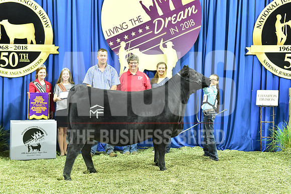 Bred Owned Champion Early Junior Heifer exhibited by Annaliese Mead APP_4288