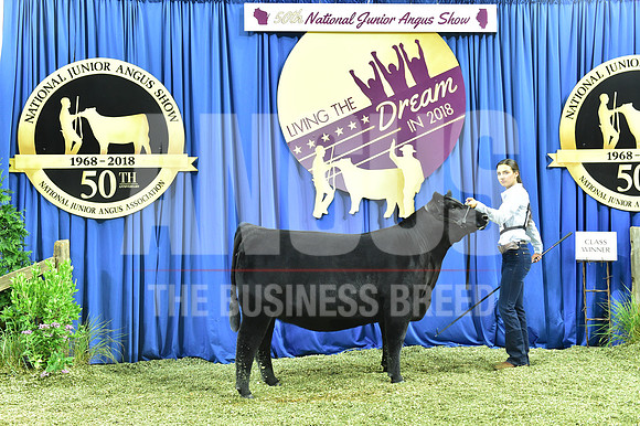 Bred Owned Class 13 1st Place exhibited by Abigail Colburn APP_3600
