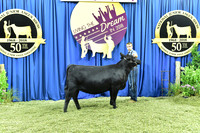 Bred Owned Early Heifer Calf, Class 7, exhibited by Dawson Dal Porto APP_3337