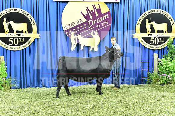 Bred Owned Early Heifer Calf, Class 7, exhibited by Dawson Dal Porto APP_3337