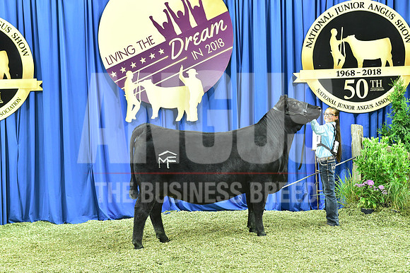 Bred Owned Class 22 1st Place exhibited by Annaliese Mead APP_4137