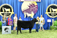 Bred Owned Champion Late Heifer Calf, Class 2, exhibited by Cylee Kirchner APP_3171