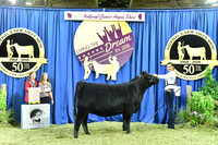 Bred Owned Res Champ Late Junior Heifer, Class 13, exhibited by Abigail Colburn APP_3902