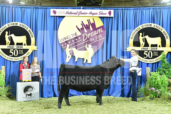Bred Owned Res Champ Late Junior Heifer, Class 13, exhibited by Abigail Colburn APP_3902