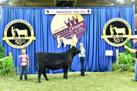 Bred Owned Class 4 1st Place exhibited by Margaret Davis APP_3206