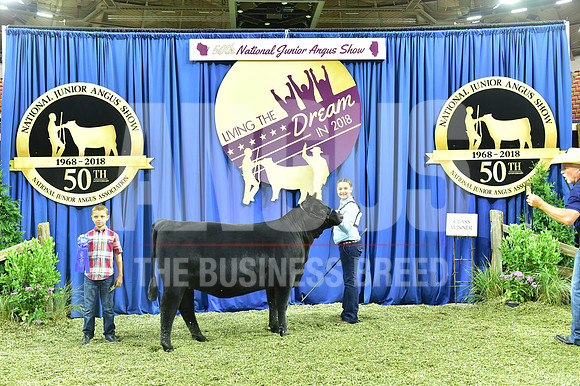 Bred Owned Class 4 1st Place exhibited by Margaret Davis APP_3206
