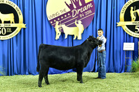 Bred Owned Class 6 1st Place exhibited by Jacob Marksbury APP_3265