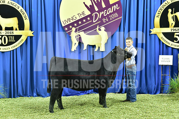 Bred Owned Class 6 1st Place exhibited by Jacob Marksbury APP_3265