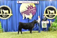 Bred Owned Class 1 1st Place exhibited by Ellie Sennett APP_3049