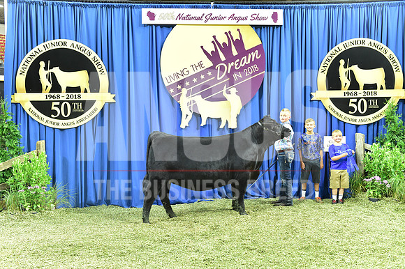 Bred Owned Class 23 1st Place exhibited by Ben Sellmeyer APP_4242