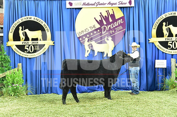 Bred Owned Class 15 1st Place exhibited by Dawson Dal Porto APP_3700