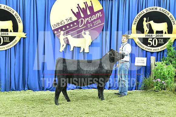 Bred Owned Class 5 1st Place exhibited by Ryan Callahan APP_3415
