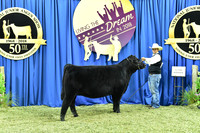 Bred Owned Class 12 1st Place exhibited by Dawson Dal Porto APP_3643