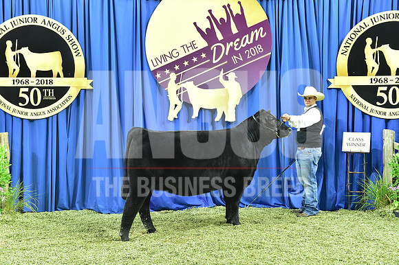 Bred Owned Class 12 1st Place exhibited by Dawson Dal Porto APP_3643