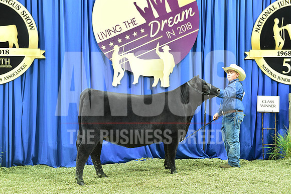 Bred Owned Class 20 1st Place exhibited by Reed Naughton APP_4033