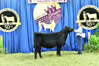 Bred Owned Class 14 1st Place exhibited by Avery Mather APP_3631