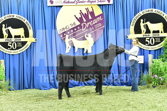 Bred Owned Class 14 1st Place exhibited by Avery Mather APP_3631