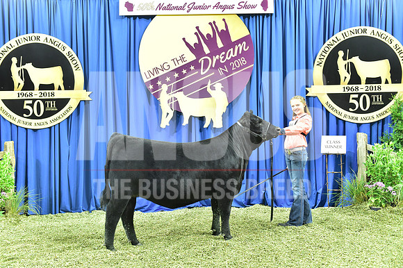 Bred Owned Class 10 1st Place exhibited by Lauren Wolter APP_3492