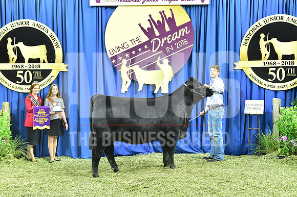 Bred Owned Champion Late Junior Heifer, Class 16, exhibited by Ryan Callahan APP_3881