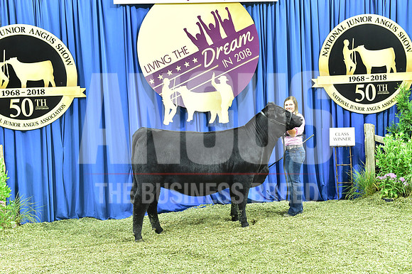 Bred Owned Class 21 1st Place exhibited by Madison Sundsbak APP_4080