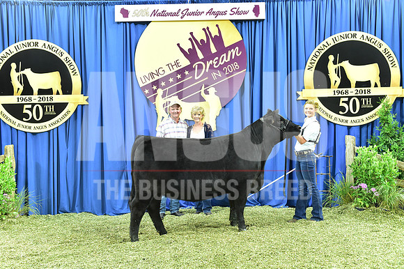 Bred Owned Class 18 1st Place exhibited by Molly Cooksey APP_3974