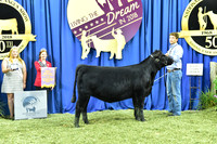 Bred Owned Res Champ Early Heifer Calf, 1st Class 8 exhibited by Ryan Callahan APP_3402