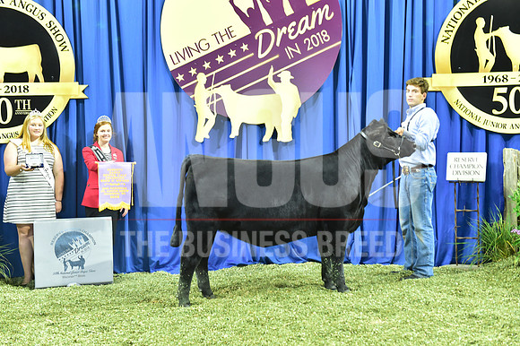 Bred Owned Res Champ Early Heifer Calf, 1st Class 8 exhibited by Ryan Callahan APP_3402
