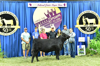 Bred Owned Class 9 1st Place exhibited by Hannah Steph APP_3565