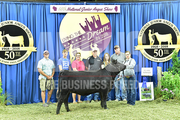 Bred Owned Class 9 1st Place exhibited by Hannah Steph APP_3565