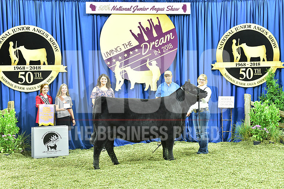 Bred Owned Res Champion Senior Heifer, Class 24, exhibited by Bryanna Hite APP_4551