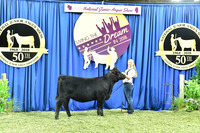 Bred Owned Class 3 1st Place exhibited by Paige Birk APP_3119