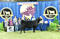 Bred Owned Champion Intermediate Heifer, Class 11, exhibited by Ann Dameron APP_3518