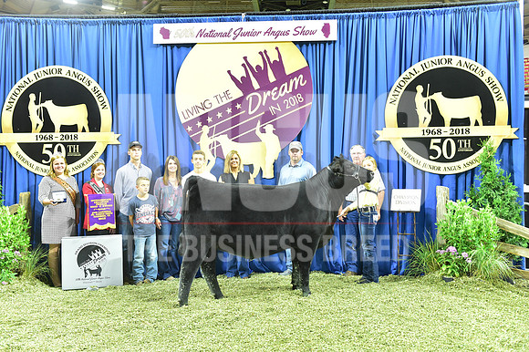 Bred Owned Champion Intermediate Heifer, Class 11, exhibited by Ann Dameron APP_3518