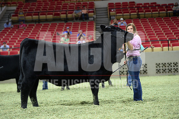 JAR_6023
