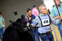 BLE_5392