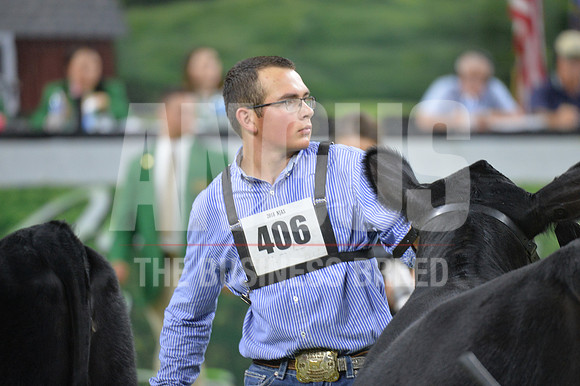 PPP_3262