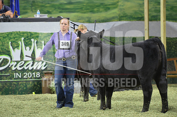 PPP_3299