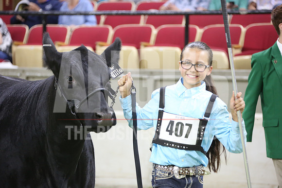 MCE_6682