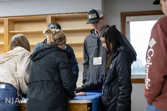 CollisonEmbryo_RaisingtheBar_202604_MB_R63_1282_E