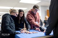 CollisonEmbryo_RaisingtheBar_202604_MB_R63_1292_E