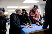 CollisonEmbryo_RaisingtheBar_202604_MB_R63_1291_E