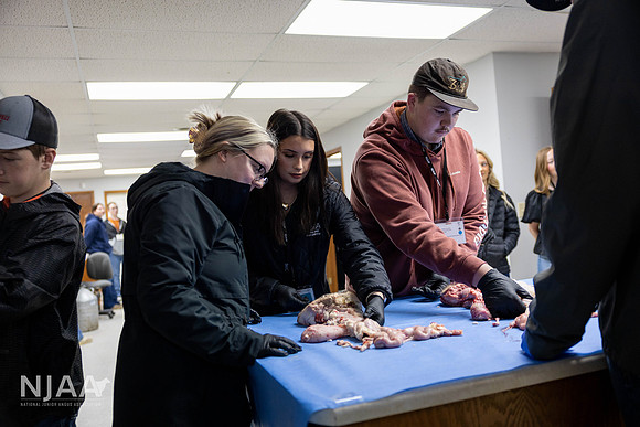 CollisonEmbryo_RaisingtheBar_202604_MB_R63_1291_E